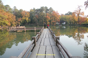 苏州天平山赏枫